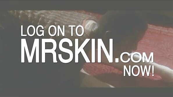 温柔的年轻女同性恋者以性感的激情吃猫