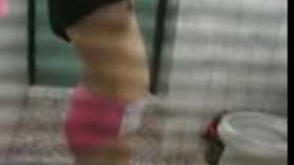 年轻的种马努力让所有这些女孩开心