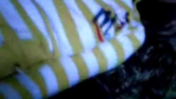 山雀他妈的布兰妮琥珀和敲打她完美的猫